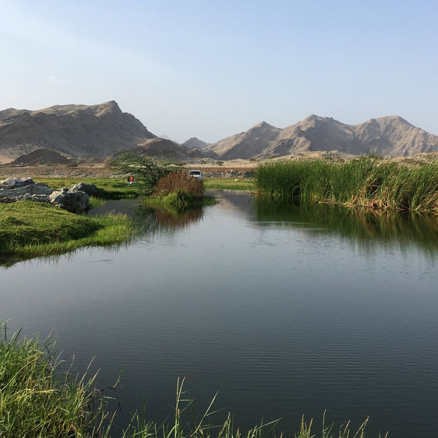 Uno de los sorprendentes paisajes de Arabia Saudí