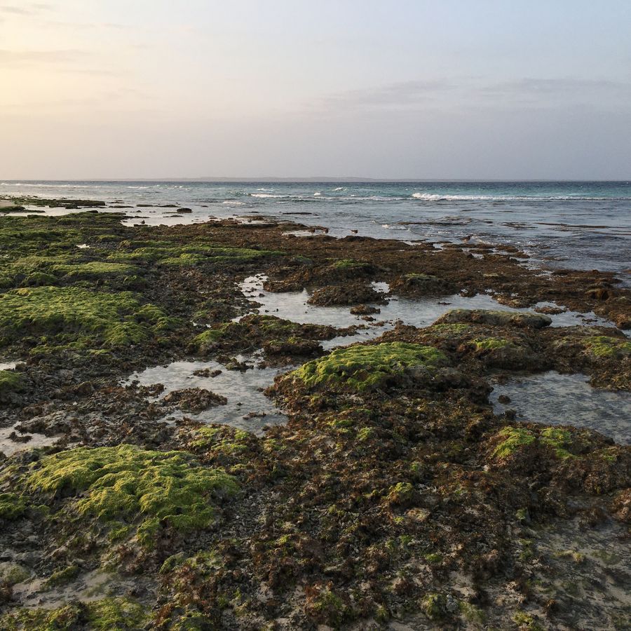 Detalle de una de las escenas del audiovisual